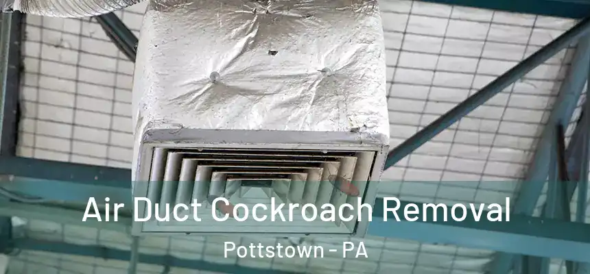  Air Duct Cockroach Removal Pottstown - PA