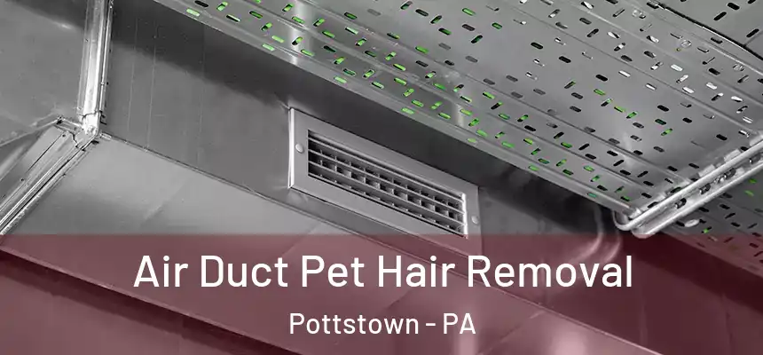 Air Duct Pet Hair Removal Pottstown - PA
