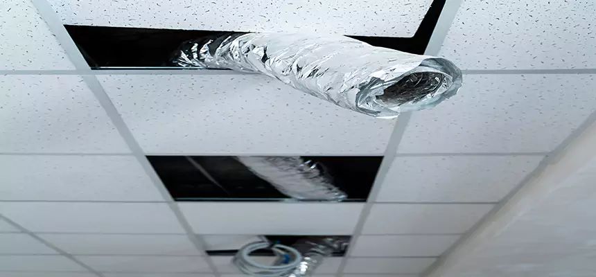 Our Air Duct Pet Hair Removal Services in Pottstown, PA