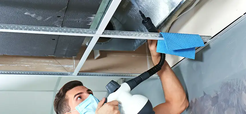 Our Air Duct Rodent Removal Services in Pottstown, PA