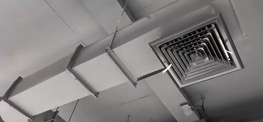 Our Pest Removal From Ducts Services in Pottstown, PA