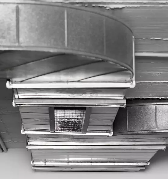 Professional Air Duct Pest Removal in Pottstown, PA