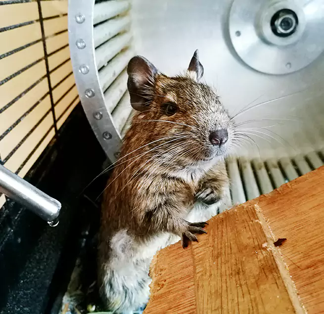 Why Homeowners & Businesses Trust Us Pottstown, PA?